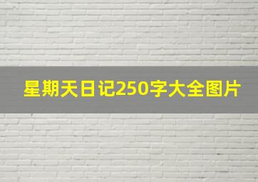 星期天日记250字大全图片