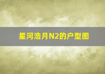 星河浩月N2的户型图