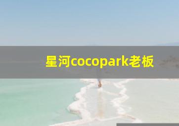 星河cocopark老板