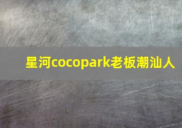 星河cocopark老板潮汕人