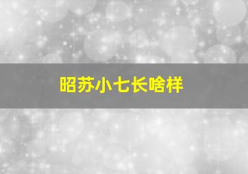 昭苏小七长啥样