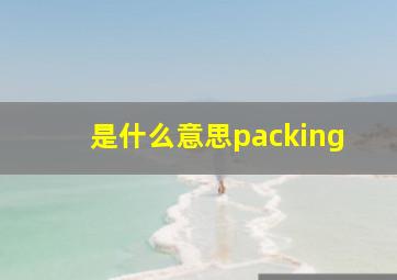 是什么意思packing