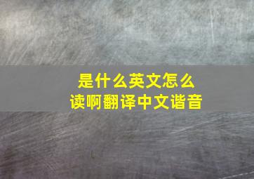 是什么英文怎么读啊翻译中文谐音