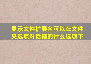 显示文件扩展名可以在文件夹选项对话框的什么选项下