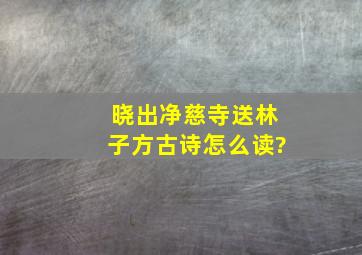 晓出净慈寺送林子方古诗怎么读?