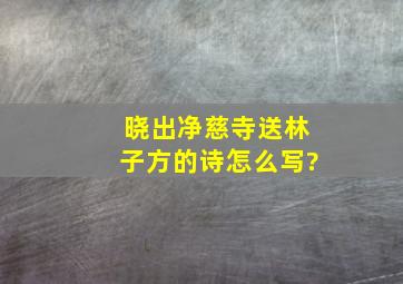 晓出净慈寺送林子方的诗怎么写?