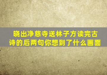 晓出净慈寺送林子方读完古诗的后两句你想到了什么画面