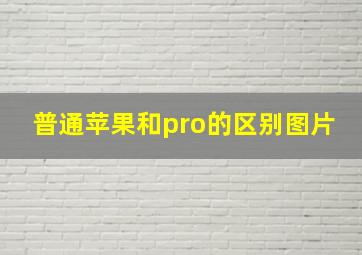 普通苹果和pro的区别图片