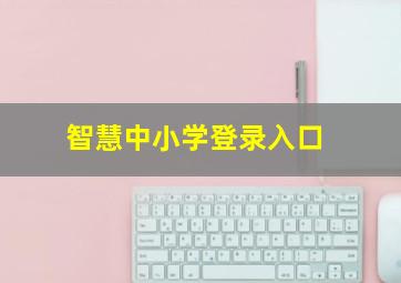 智慧中小学登录入口