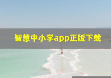 智慧中小学app正版下载