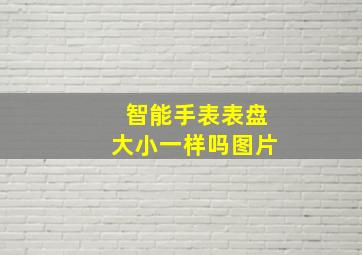 智能手表表盘大小一样吗图片