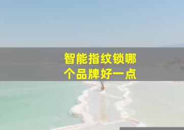 智能指纹锁哪个品牌好一点