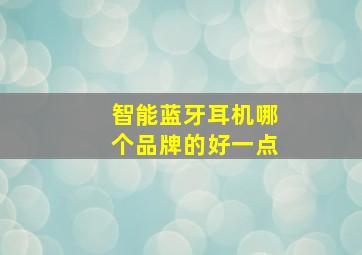 智能蓝牙耳机哪个品牌的好一点