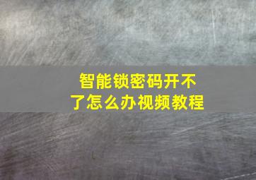 智能锁密码开不了怎么办视频教程