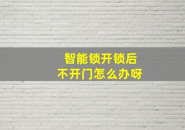 智能锁开锁后不开门怎么办呀