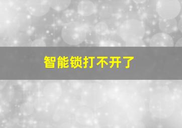 智能锁打不开了