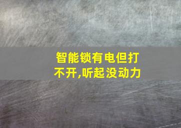 智能锁有电但打不开,听起没动力