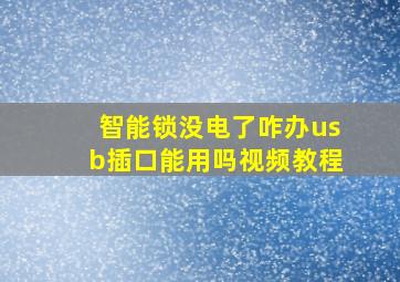 智能锁没电了咋办usb插口能用吗视频教程