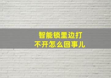 智能锁里边打不开怎么回事儿