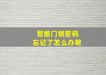 智能门锁密码忘记了怎么办呢