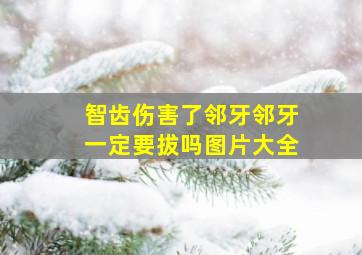 智齿伤害了邻牙邻牙一定要拔吗图片大全