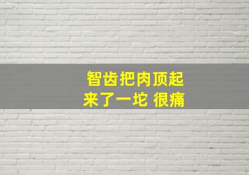 智齿把肉顶起来了一坨 很痛