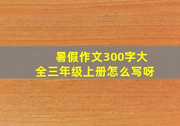 暑假作文300字大全三年级上册怎么写呀