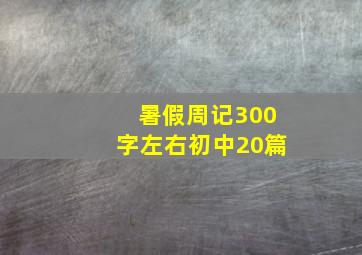 暑假周记300字左右初中20篇