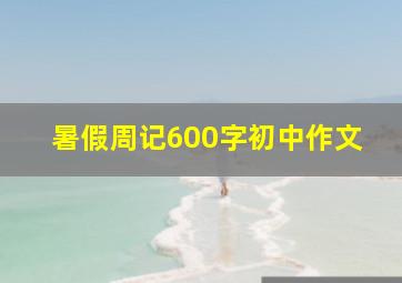 暑假周记600字初中作文