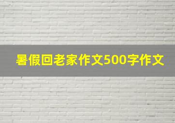 暑假回老家作文500字作文