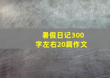 暑假日记300字左右20篇作文