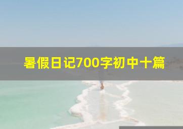 暑假日记700字初中十篇