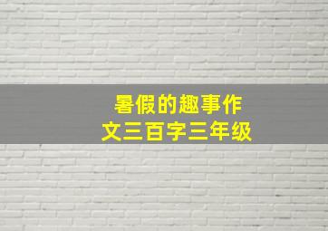 暑假的趣事作文三百字三年级