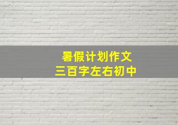 暑假计划作文三百字左右初中