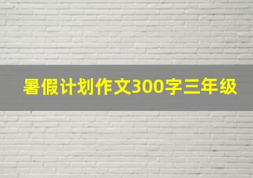 暑假计划作文300字三年级