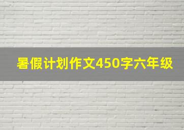 暑假计划作文450字六年级