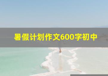 暑假计划作文600字初中