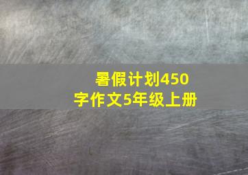 暑假计划450字作文5年级上册