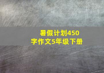 暑假计划450字作文5年级下册