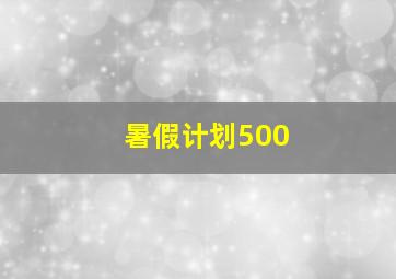 暑假计划500