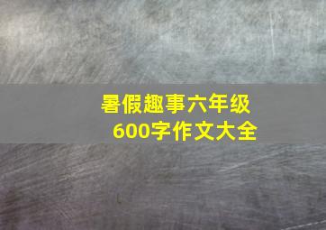 暑假趣事六年级600字作文大全