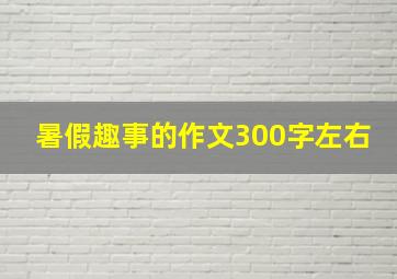 暑假趣事的作文300字左右