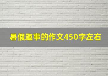 暑假趣事的作文450字左右