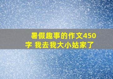 暑假趣事的作文450字 我去我大小姑家了