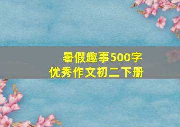 暑假趣事500字优秀作文初二下册