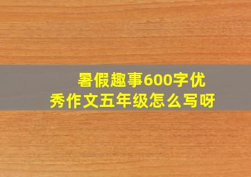 暑假趣事600字优秀作文五年级怎么写呀