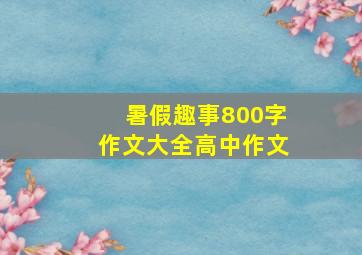 暑假趣事800字作文大全高中作文