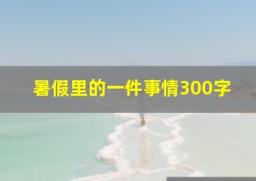 暑假里的一件事情300字