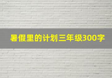 暑假里的计划三年级300字