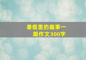 暑假里的趣事一篇作文300字